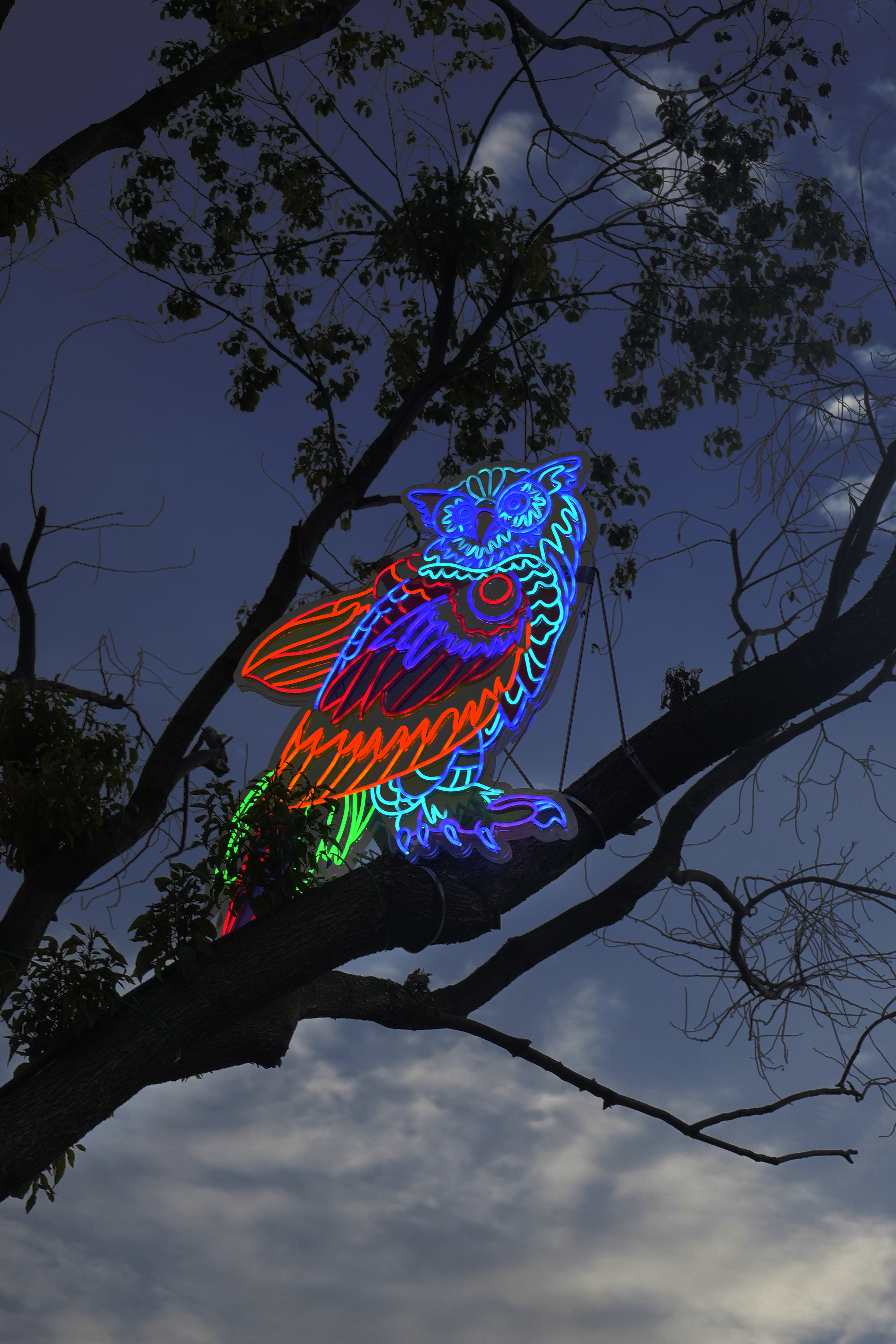 2018 Neon Neon(图2)